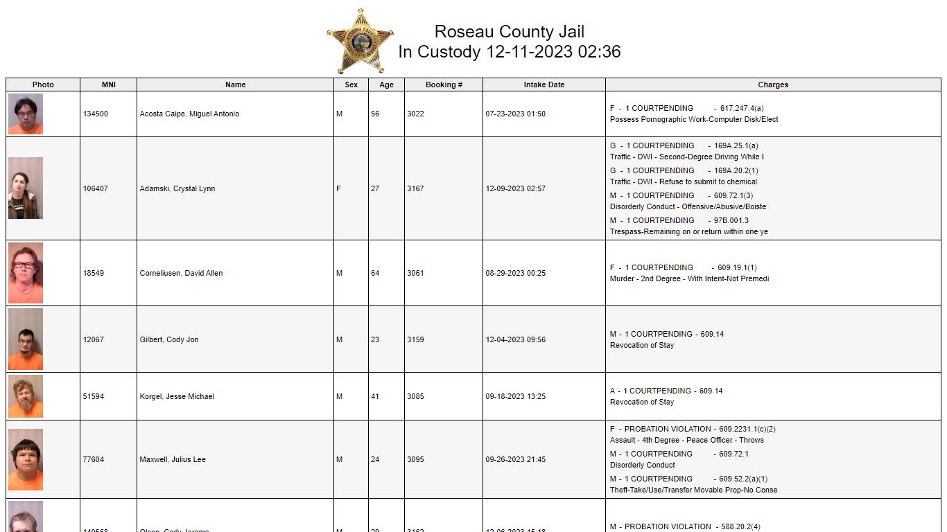 Custody - Roseau County, Minnesota